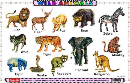 Scholars Hub Mats Wild Animals